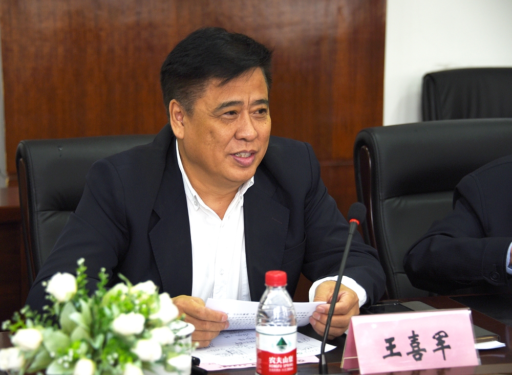 王喜军作我省中医药产业发展建议发言